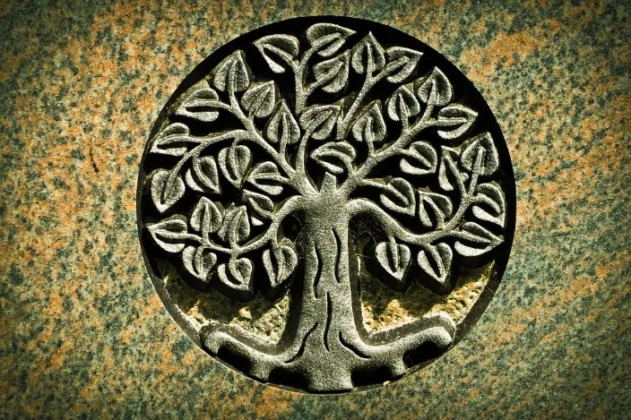offrir un arbre de vie