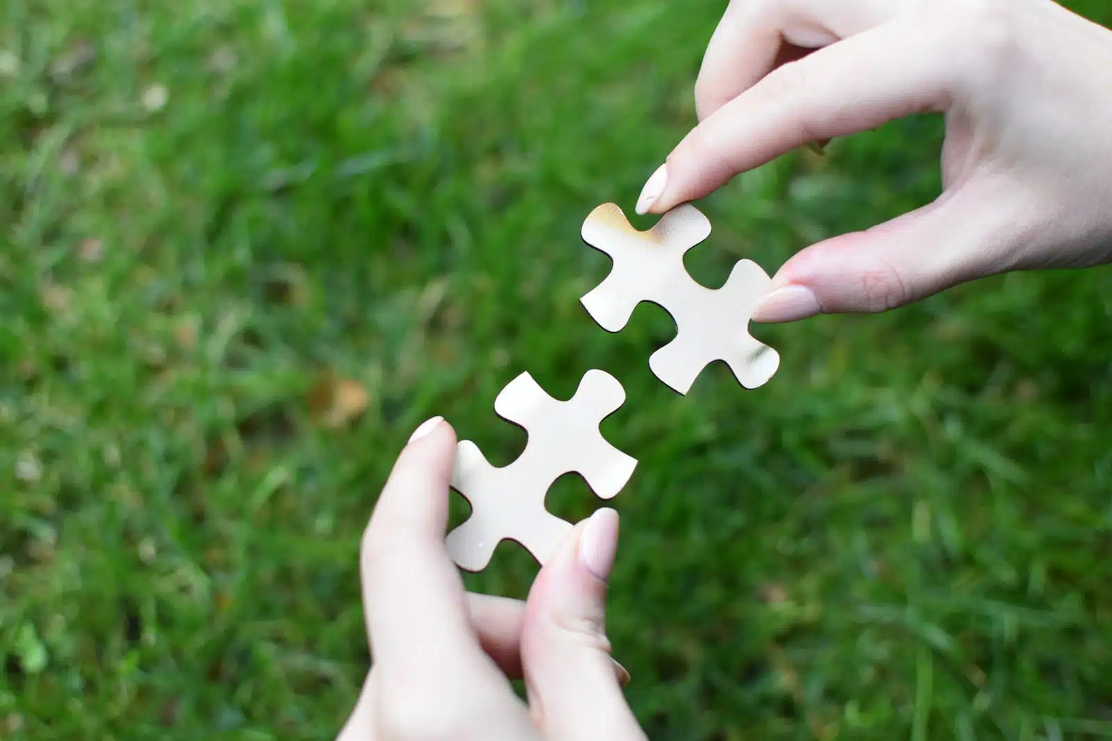 puzzles en bois