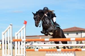 cheval en saut d'obstacle