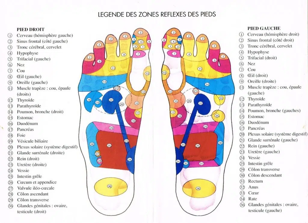 La réflexologie: soigner le corps par les pieds